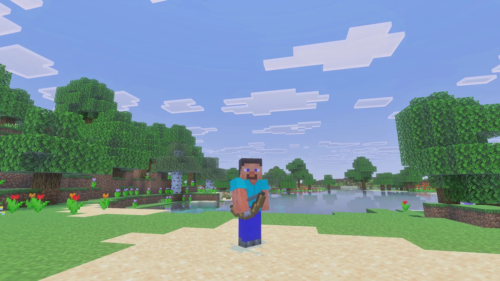 Paisaje de Minecraft visto con NextCam